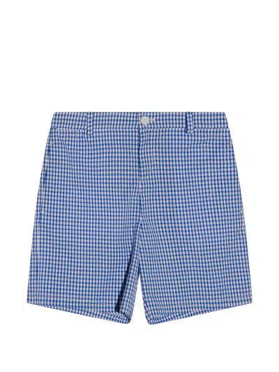 Gucci Gingham Cotton Shorts In Blue