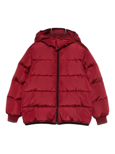 Gucci Kids' Giubbotto Hooded Jacket In Red