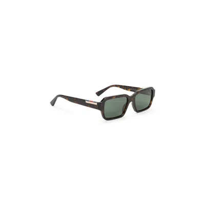 Gucci Glasses