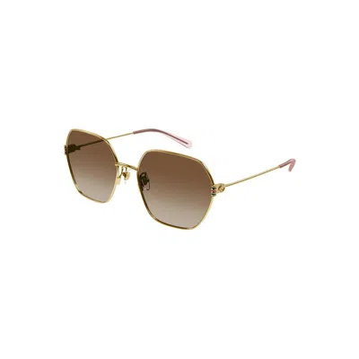 Gucci Gold Gold Brown Acetate Sunglasses