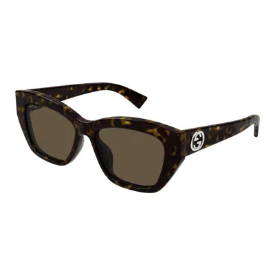 Gucci Gg1844sa002-havana-havana-brown In Black