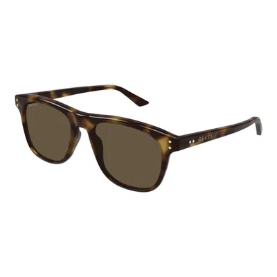 Gucci Gg1893s 002 In Brown