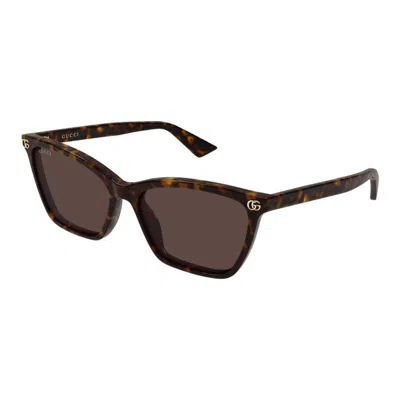 Gucci Havana-havana-brown Acetate Sunglasses
