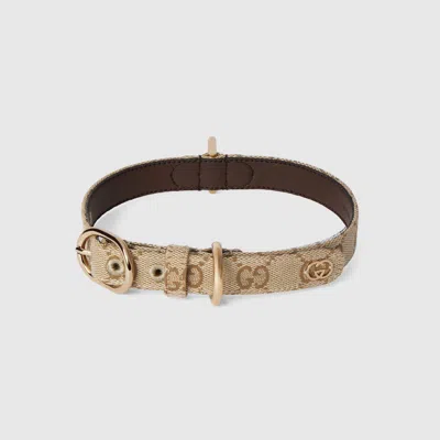 Gucci Halsband Für Kleine/mittelgrosse Haustiere In Sand