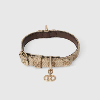 Gucci Halsband Für Sehr Kleine Haustiere In Sand