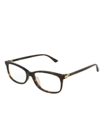 Gucci Havan Brown Frames In Braun