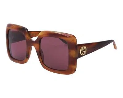 Pre-owned Gucci Havana 52 Mm Women's Sunglasses Gg0896s-004 52 In Purple