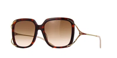 Pre-owned Gucci Havana 56 Mm Gradient Women's Sunglasses Gg0647s-002 56 In Brown