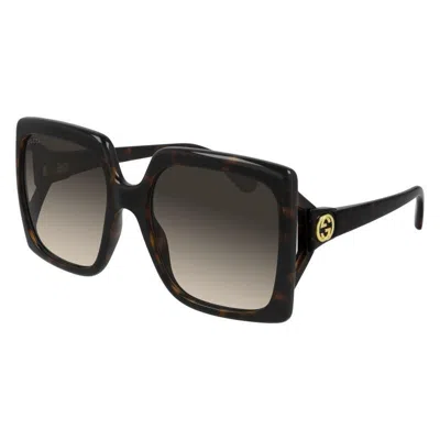 Gucci Havana Brown Acetate Sunglasses For Women