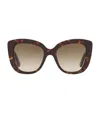 Gucci Havana Cat Eye Sunglasses In Brown