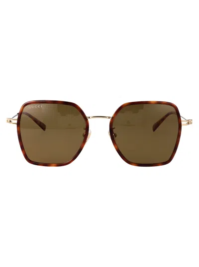 Gucci Havana-gold-brown Acetate Sunglasses