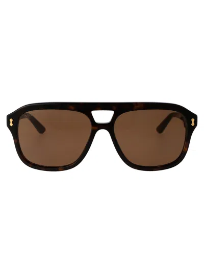 Gucci Havana Havana Brown Acetate Sunglasses