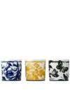 Gucci Kerzen-set Mit Herbarium-print In Blau