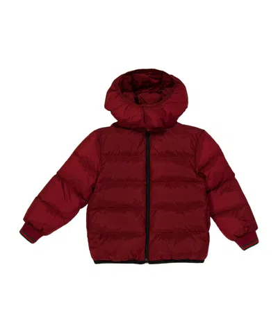 Gucci Hooded Quilted Jacket In Burgundy