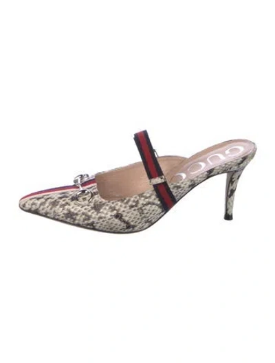 Pre-owned Gucci Horsebit Accent Snakeskin Mules In Multi