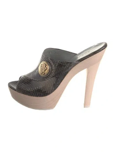 Pre-owned Gucci Hysteria Accent Python Mules W/ Tags In Black