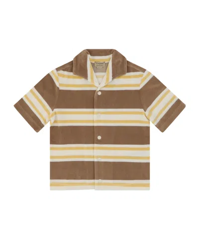 Gucci Kids Short-sleeved Striped Shirt In Brown