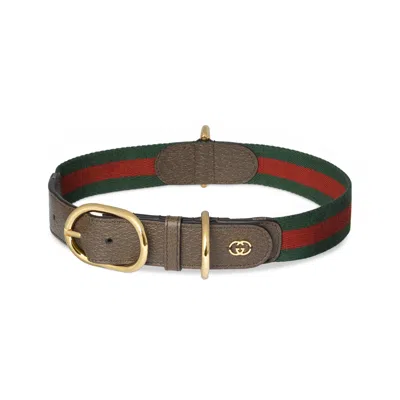 Gucci Large/extra-large Pet Collar In Brown