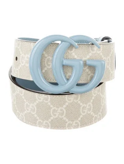 Pre-owned Gucci Leather Belt In Multi