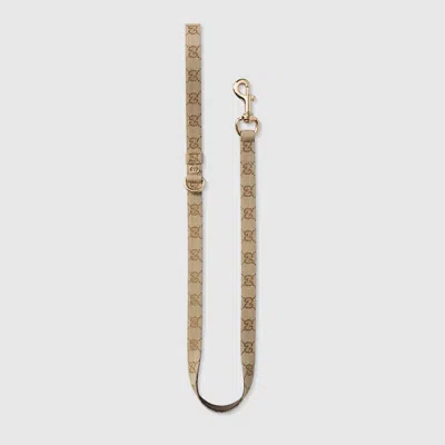 Gucci Leine Für Kleine/mittelgrosse Haustiere In Sand