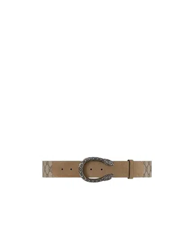 Gucci Logo Belt In Brown