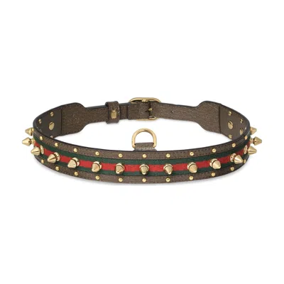 Gucci Medium/large Pet Choker In Brown