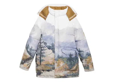 Pre-owned Gucci Men's  X The North Face Down Jacket (asia Sizing) In Trail Print In Animal Print