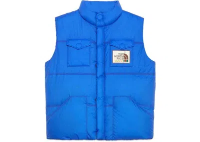 Pre-owned Gucci Men's  X The North Face Down Vest (fw21) In Blue
