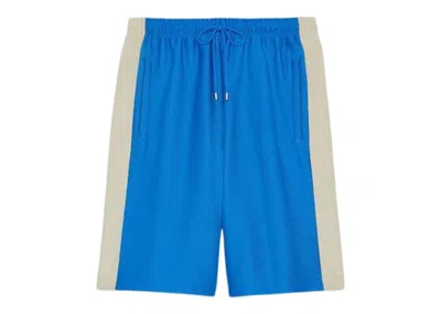 Pre-owned Gucci Men's  X The North Face Nylon Shorts In Blue