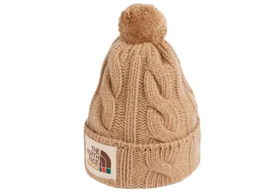 Pre-owned Gucci Men's  X The North Face Wool Hat In Beige