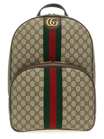 Gucci Men 'ophidia' Medium Backpack In Brown