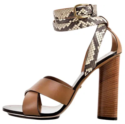 Pre-owned Gucci New  Lykke Li Python Spring 2015 Runway Pumps Heels Sz 39.5 In Brown
