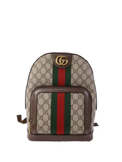 Pre-owned Gucci Ophidia Backpack In Brown