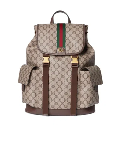 Gucci Ophidia Large Backpack In Brown