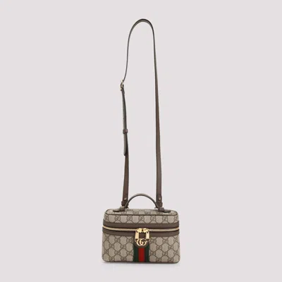 Gucci Ophidia Pouch In Multi