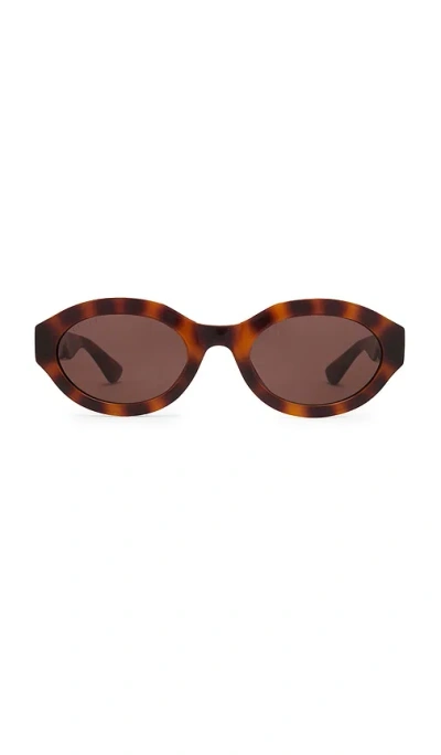 Gucci Oval Sunglasses In Havana