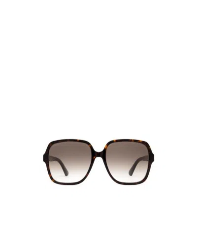 Gucci Oversized Sunglasses In Multicolor
