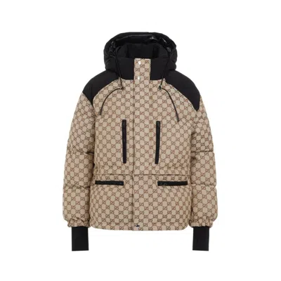 Gucci Padded Gg Camel Ebony Cotton Bomber In Brown