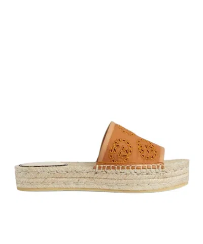 Gucci Platform Slippers In Brown