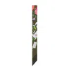 Gucci Printed Twill Mulberry Silk Bow Tie In Green