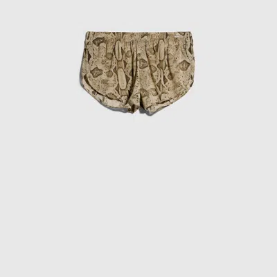 Gucci Printed Silk Shorts In Brown