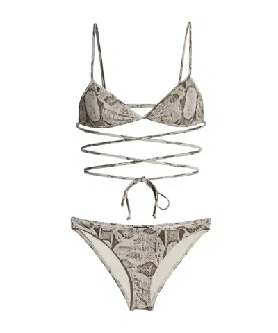 Gucci Printed Stretch Jersey Bikini In Brown
