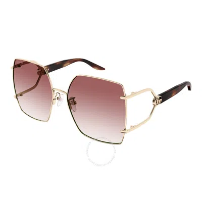 Gucci Red Gradient Butterfly Ladies Sunglasses Gg1564sa 004 61 In Brown