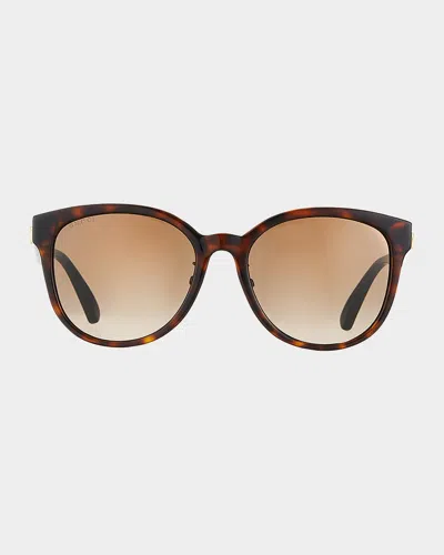Gucci Round Acetate Sunglasses In Havana