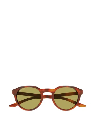 Gucci Round Frame Sunglasses In Brown