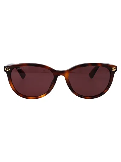 Gucci Havana Recycled Acetate Sunglasses In Burgundy