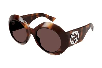 Pre-owned Gucci Round Sunglasses Havana/brown (gg1647s-009)