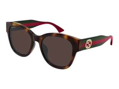 Pre-owned Gucci Round Sunglasses In Havana Brown (gg1866sk/002)