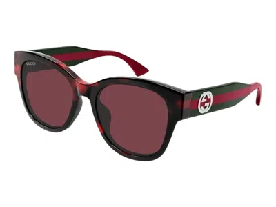 Pre-owned Gucci Round Sunglasses In Havana (gg1866sk/003)