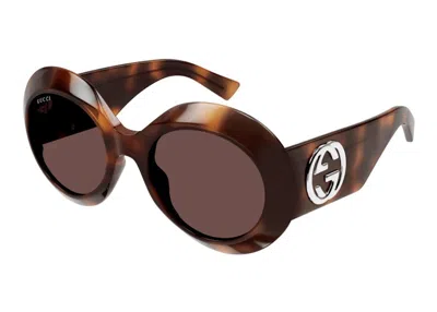 Pre-owned Gucci Round Sunglasses In Havana/brown (gg1647s/009)